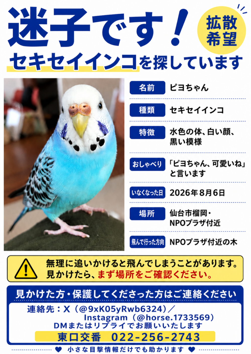 ぴよ
