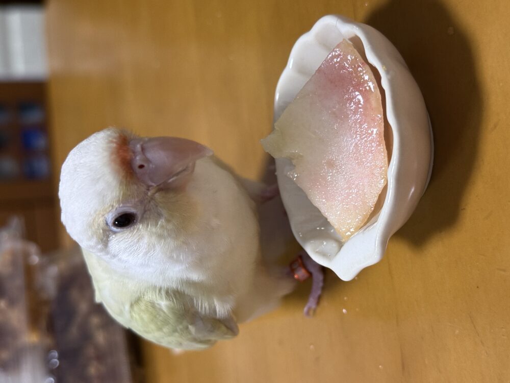 まつむら