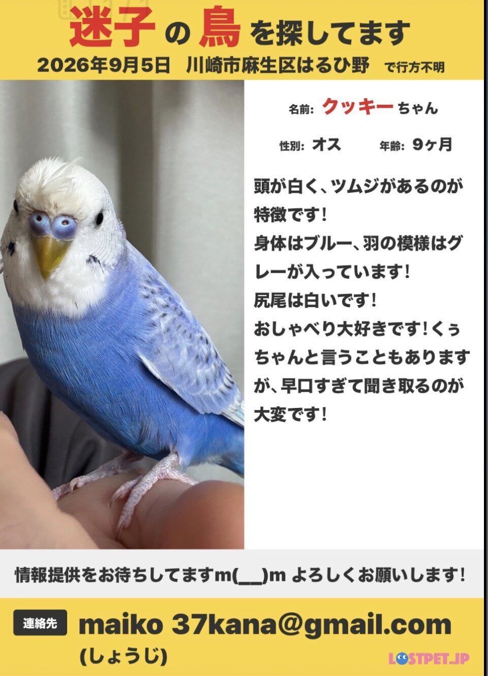 クッキー