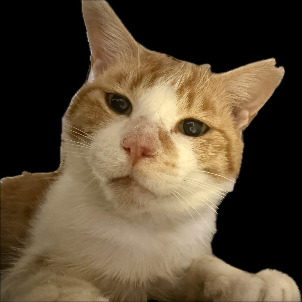 おんくん