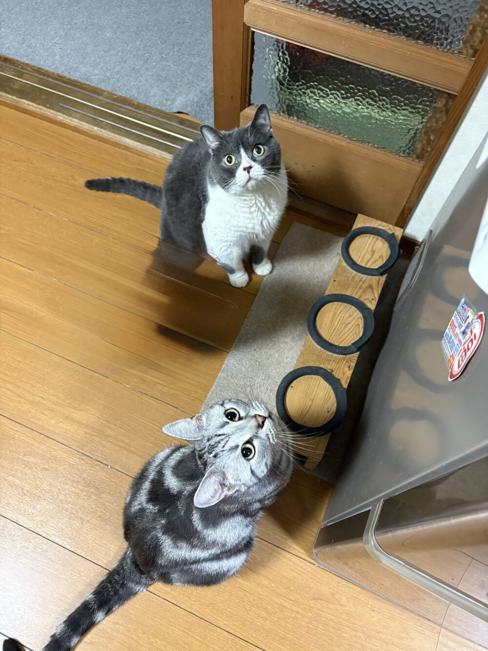 むしむし