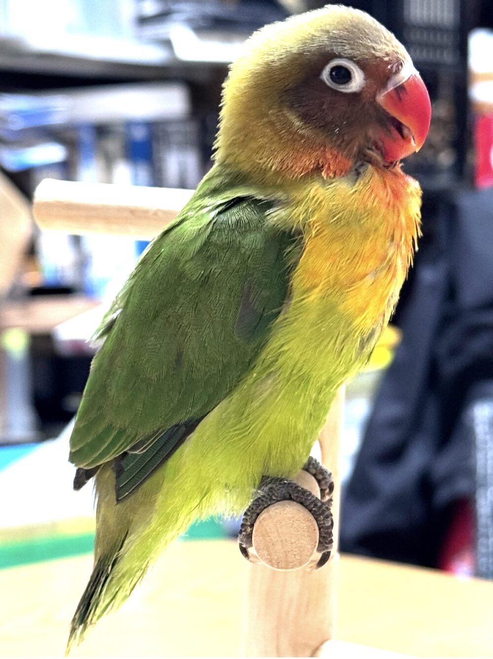 みーちゃん