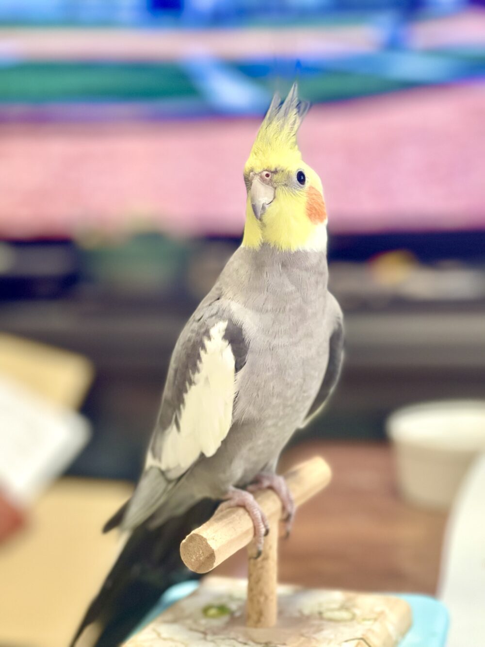 あやか
