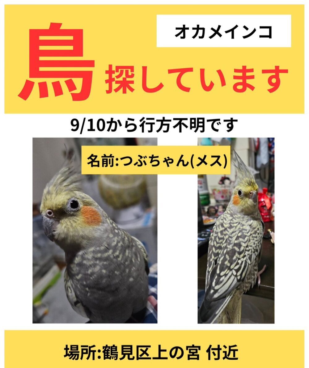 みけちゃぶ
