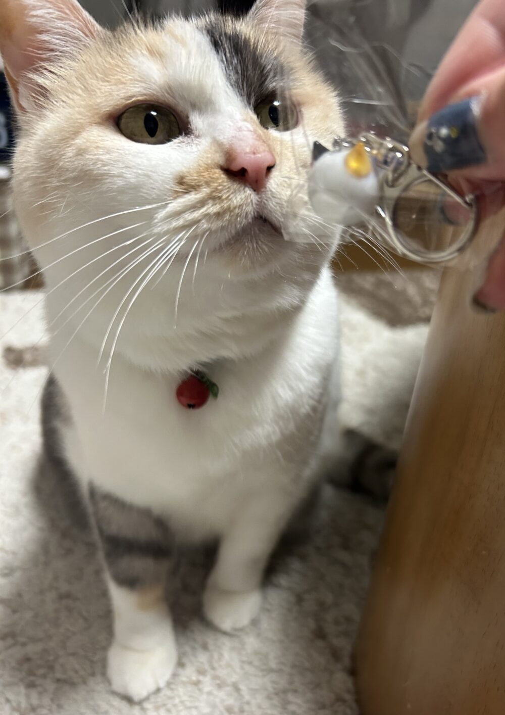 ヒラヤマ