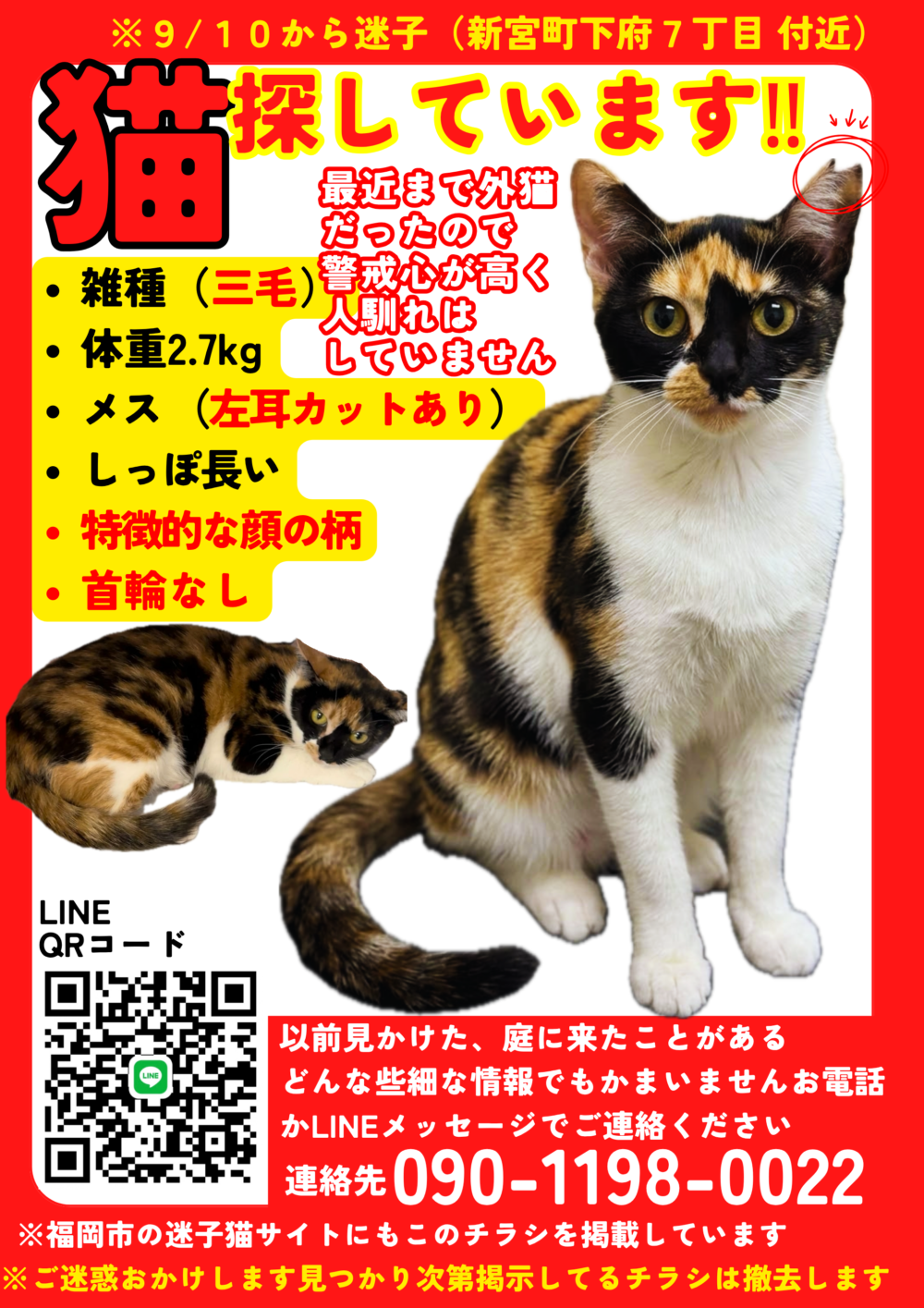 オカ