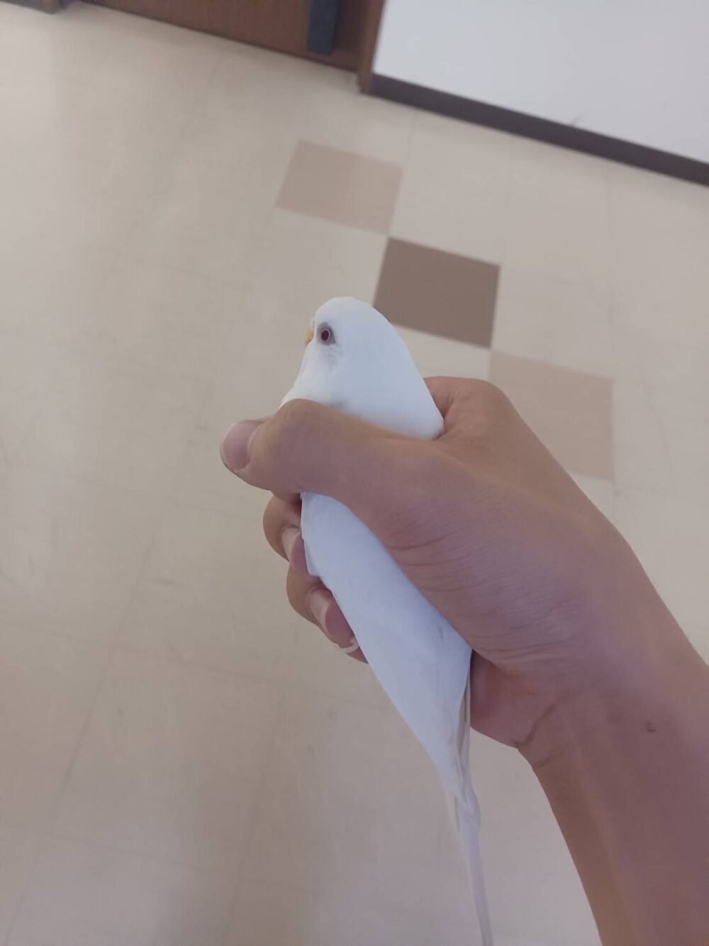 みーな