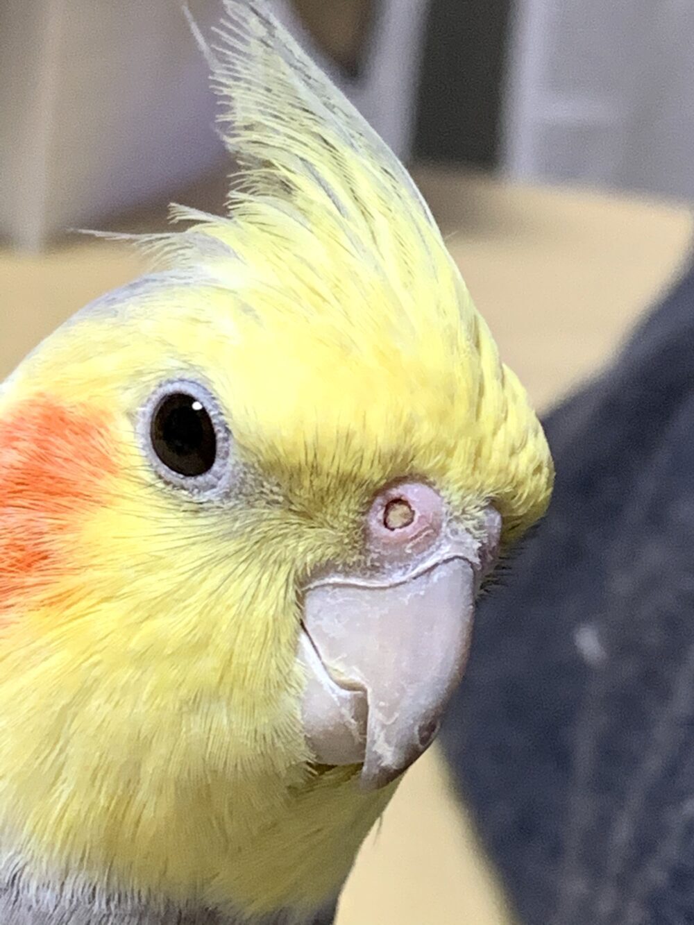 ペコ