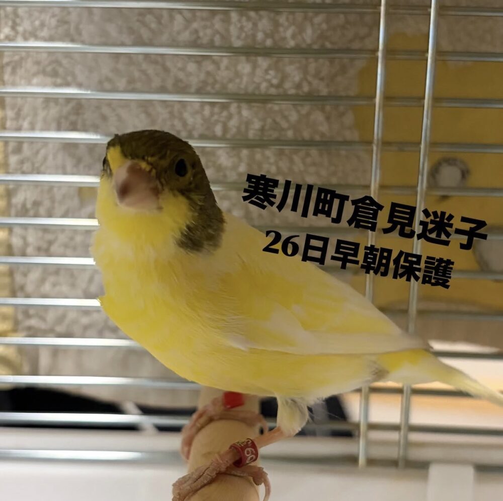 なぎさ
