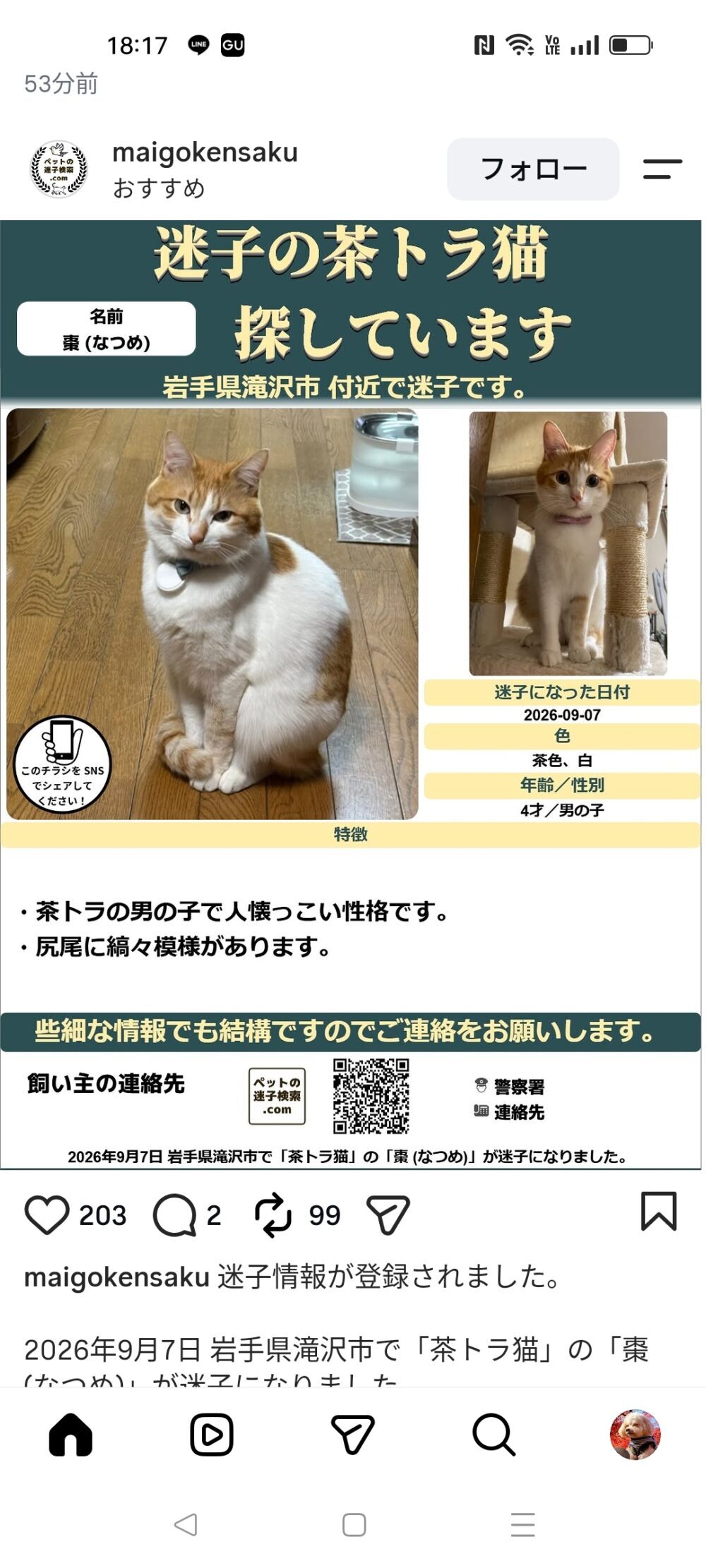 エド