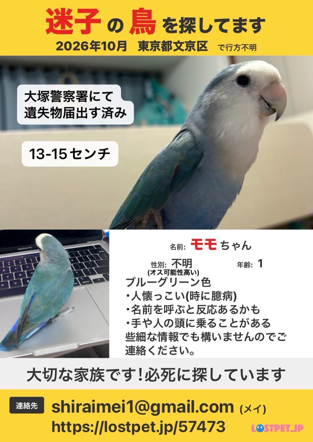 メイ