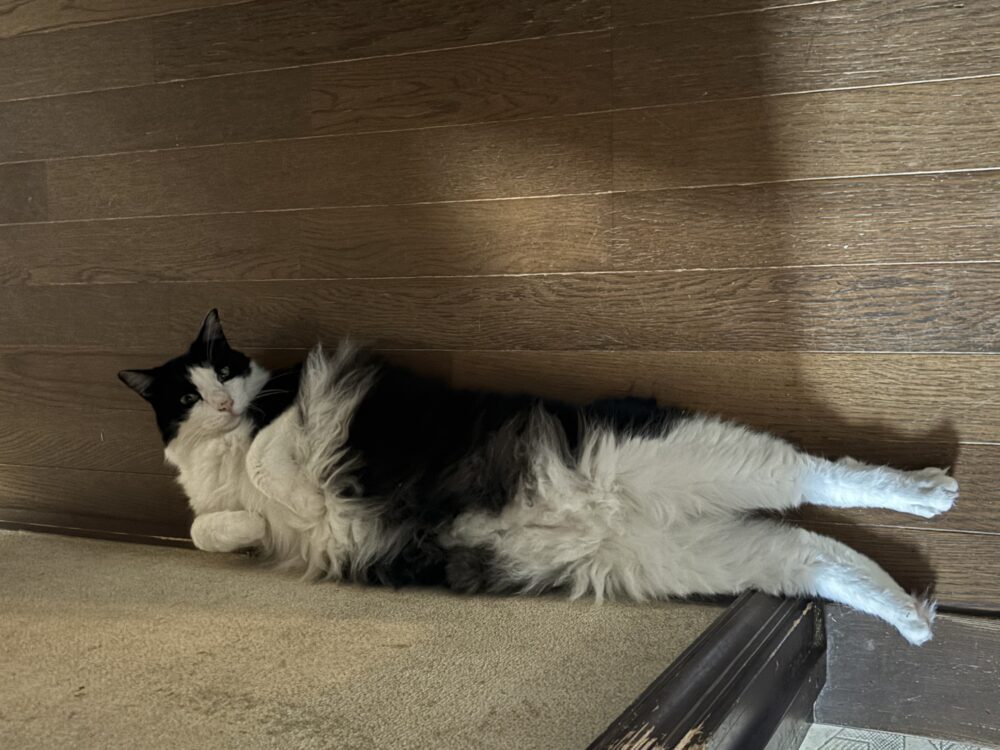 筋肉
