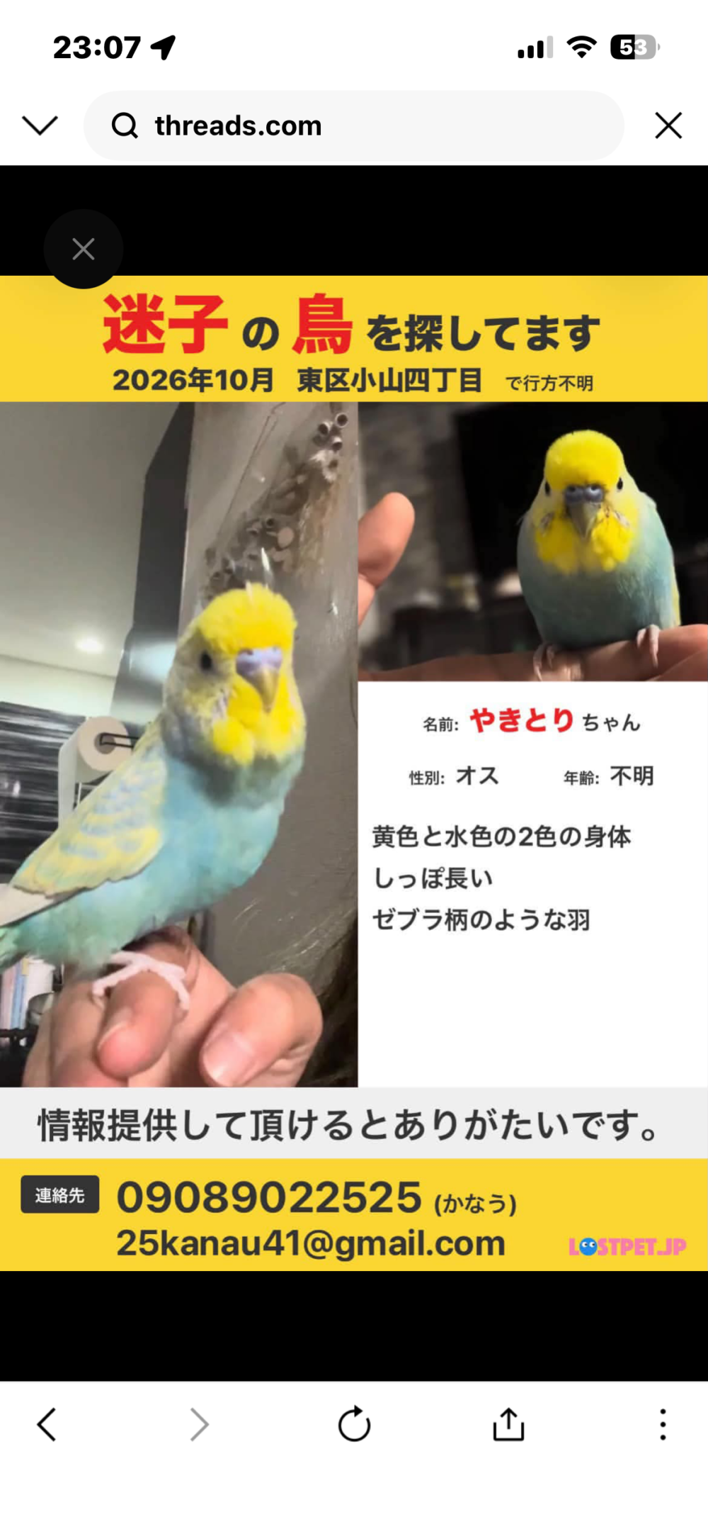 ソノダ