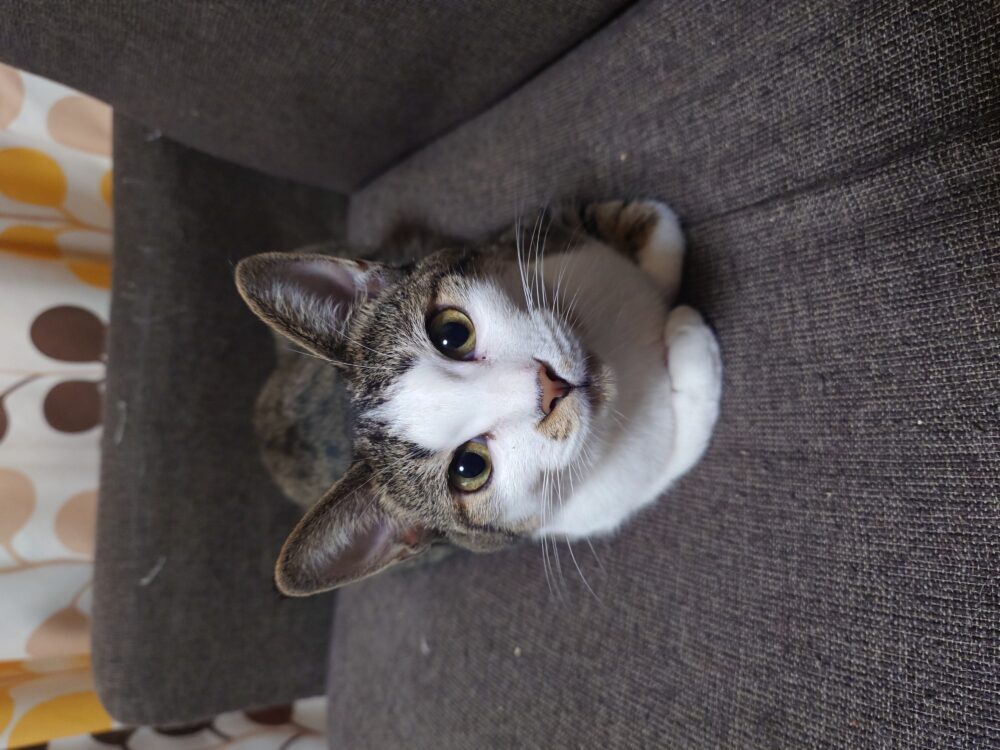 かずひさ