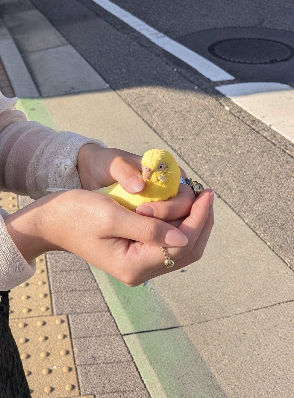 秋