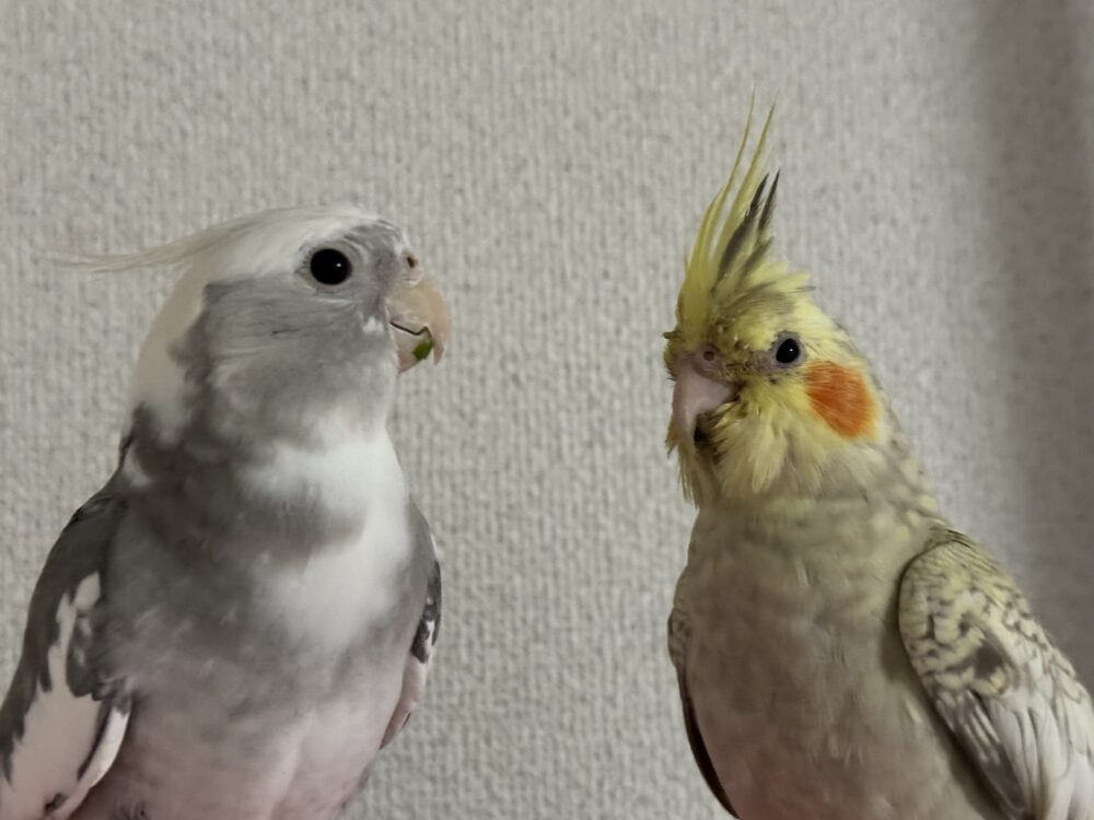 松尾