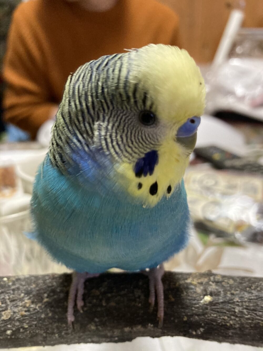 ゆうり