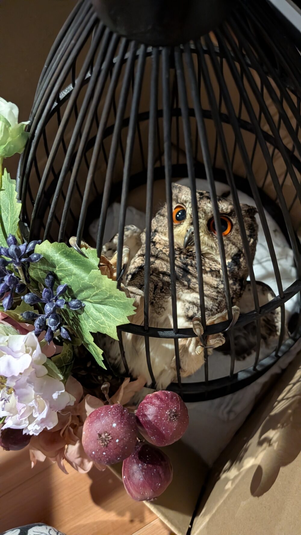 ここ