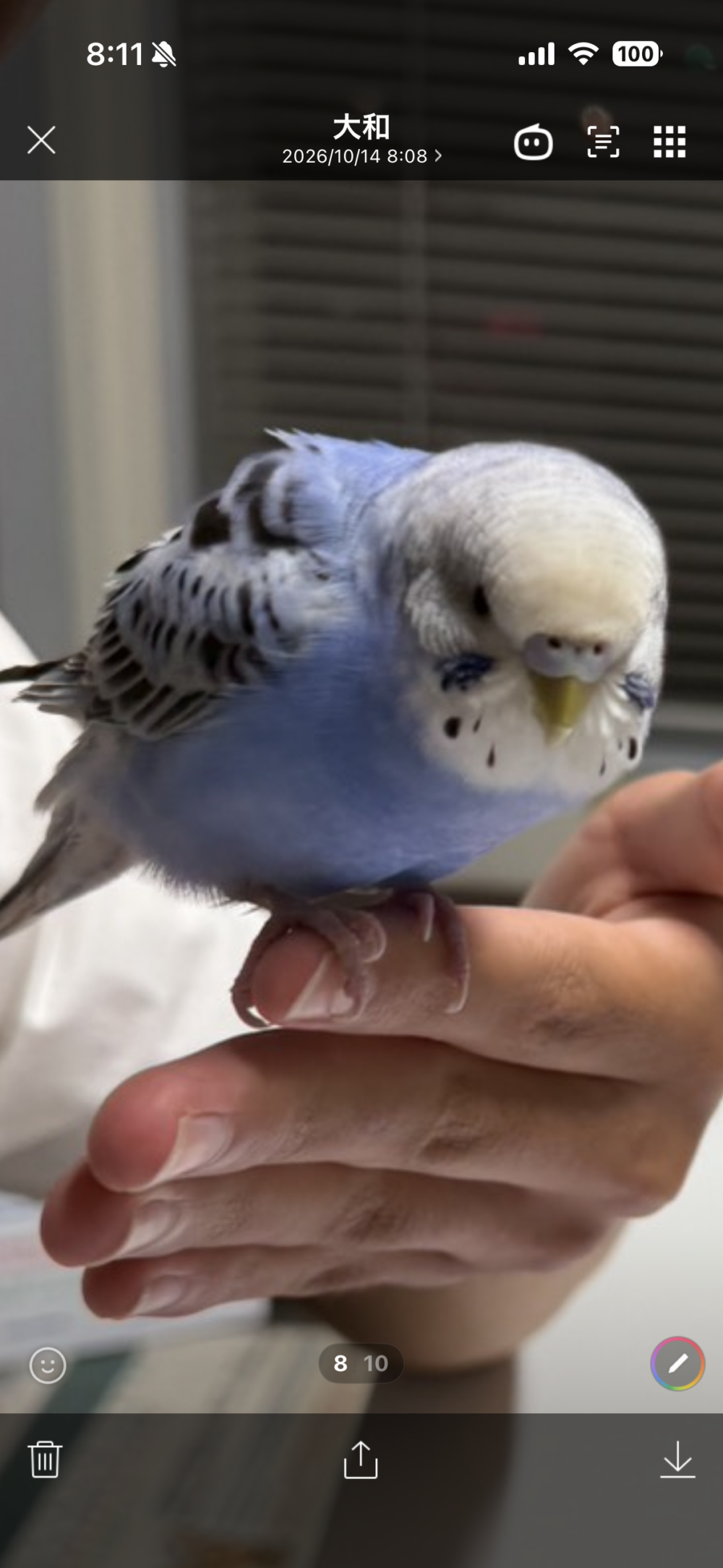 きんた