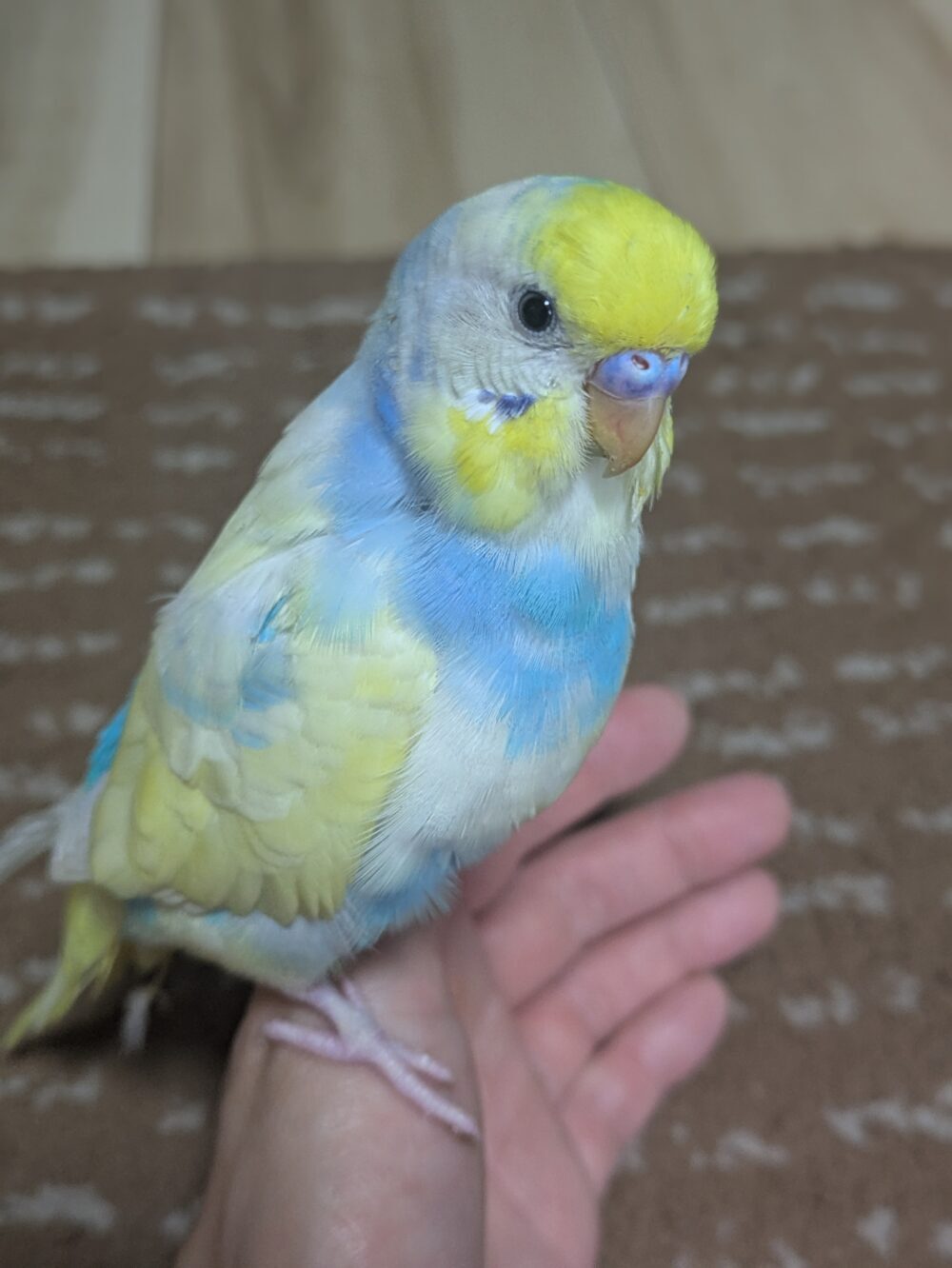 そらママ