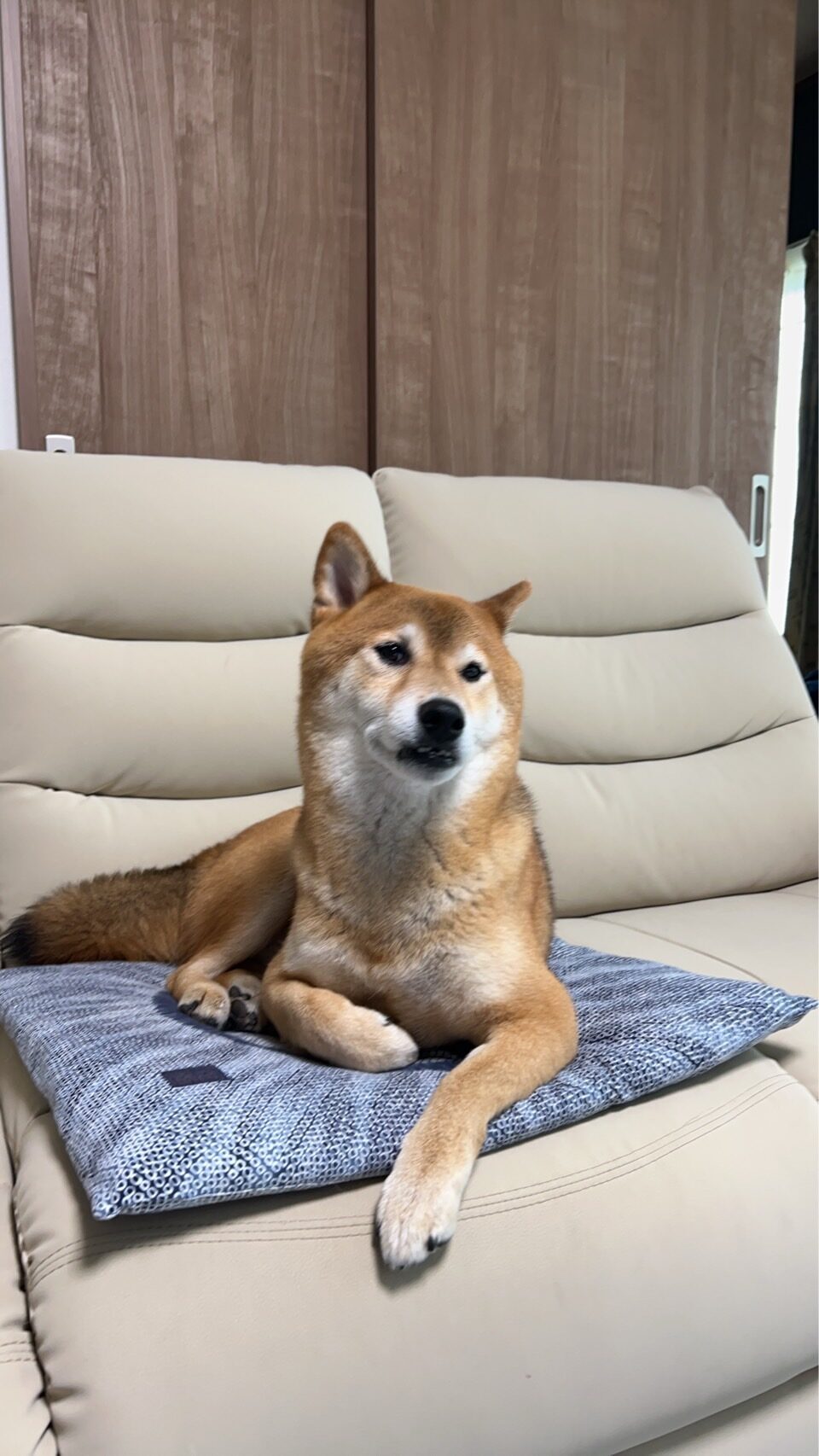 五十嵐