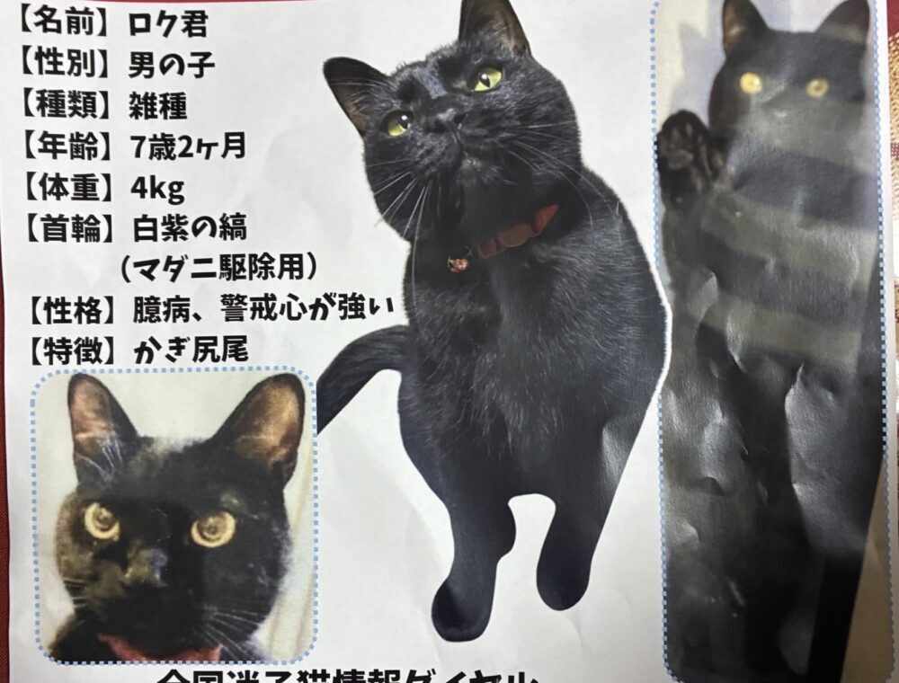 みち