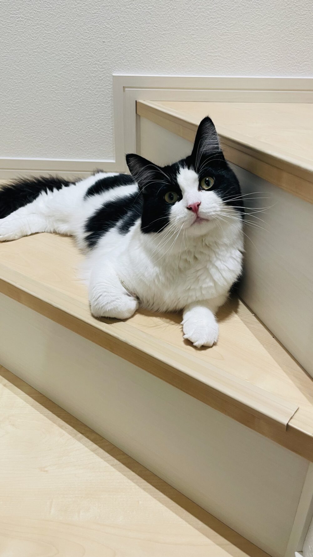 ぴーち