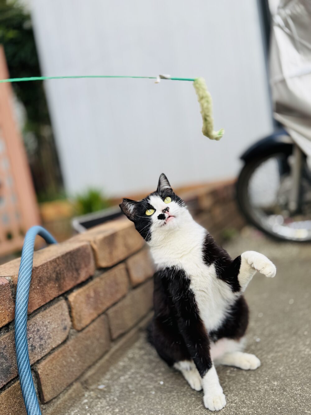 ふぅ