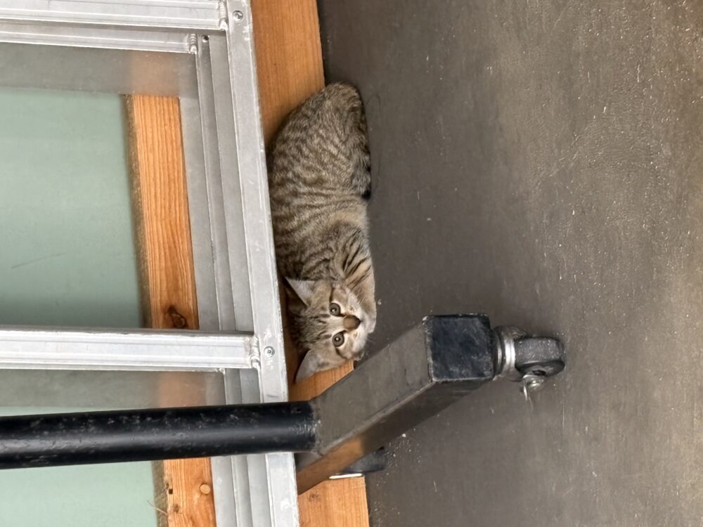 みな