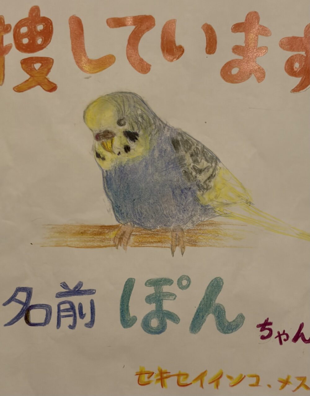 プーコ