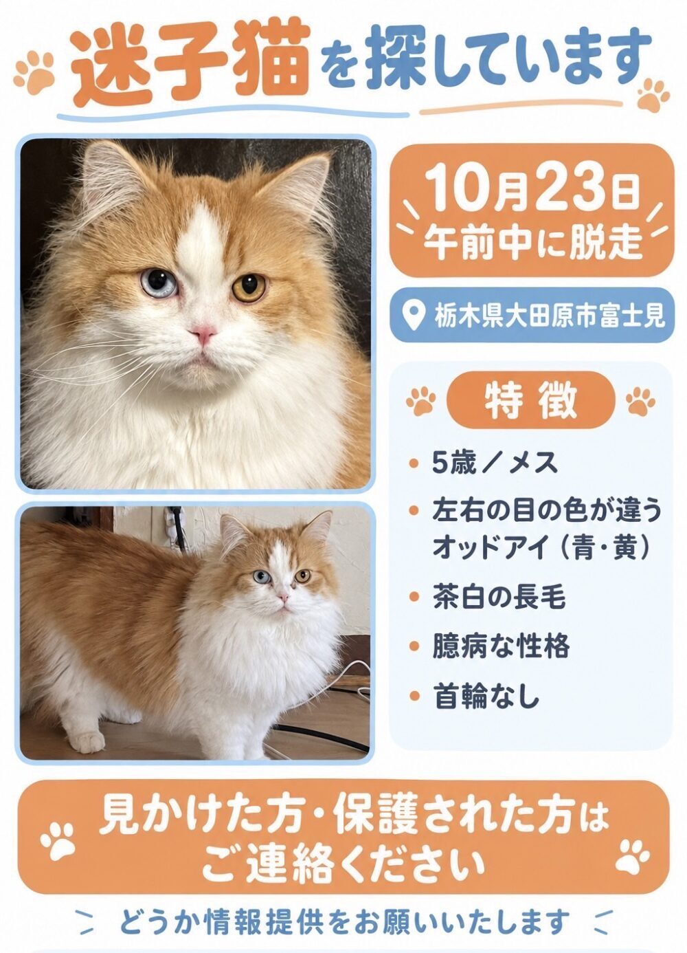 よし