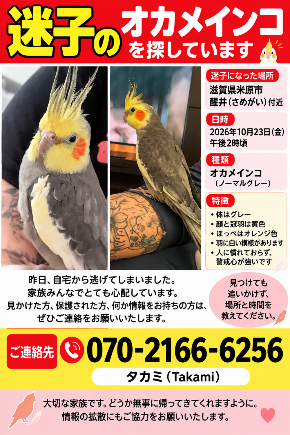堀切