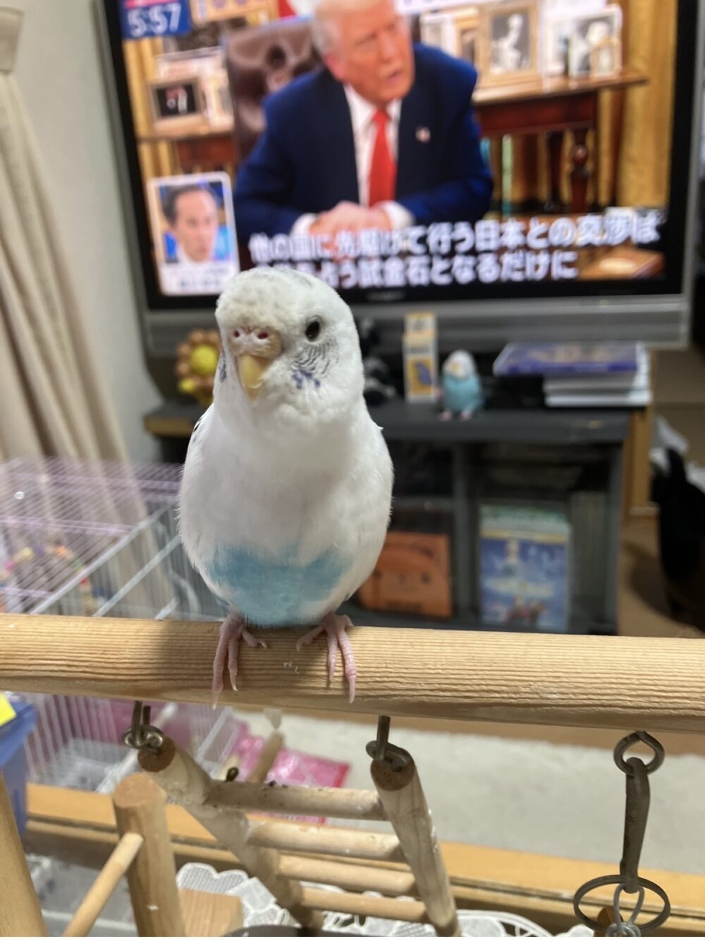 ラムネ