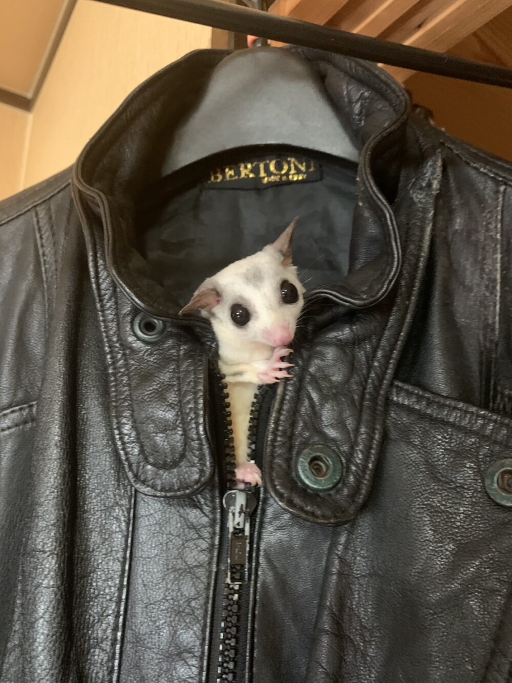 さららん
