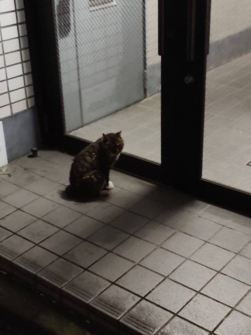 りん