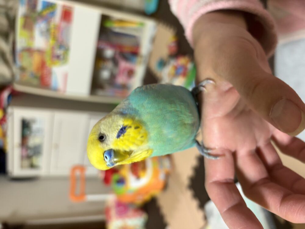 しな