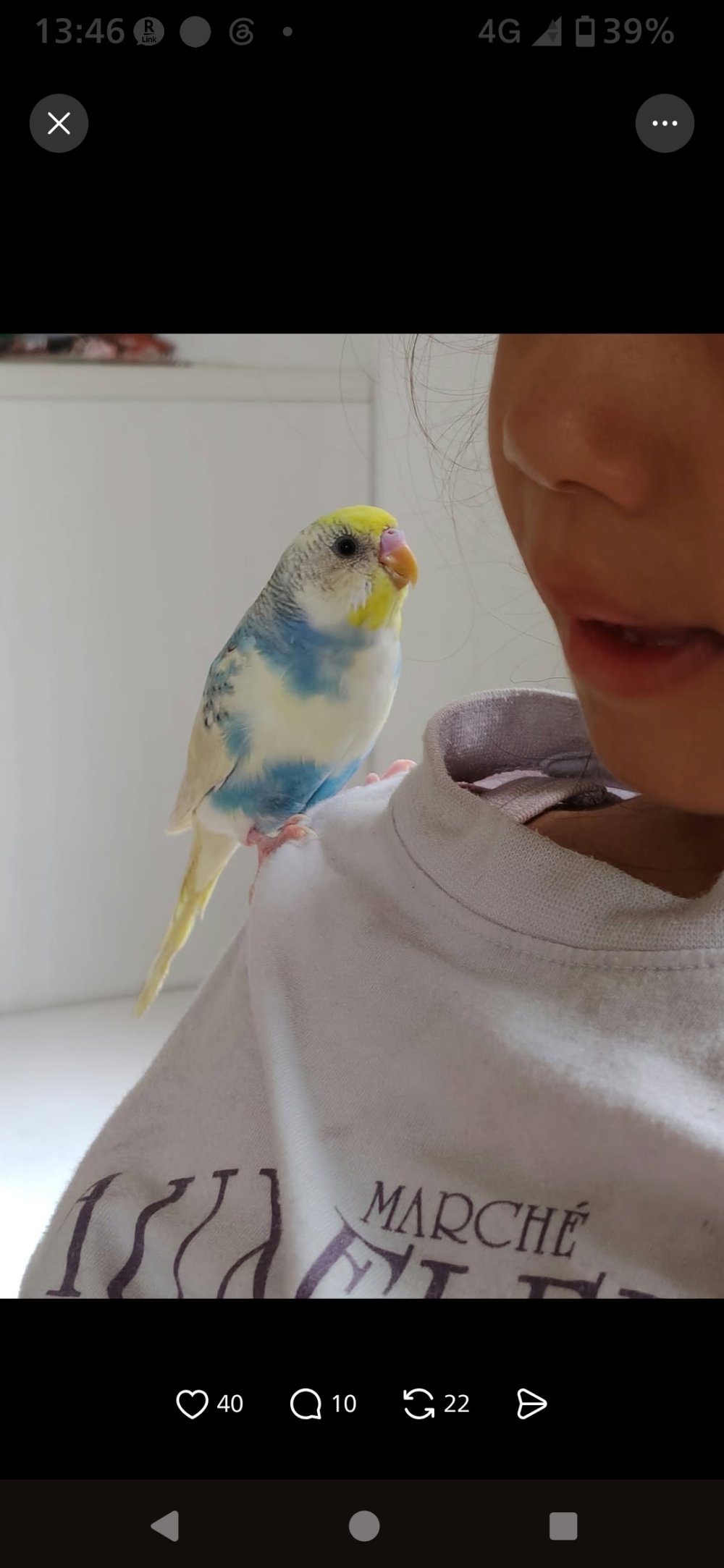 モリタ
