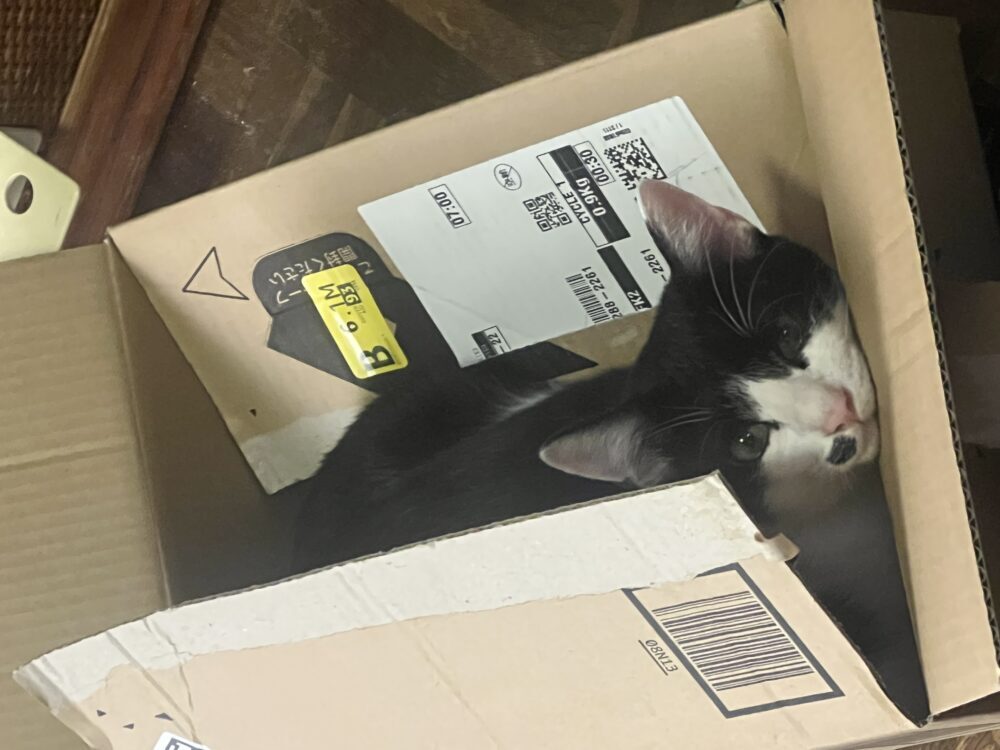 みらい