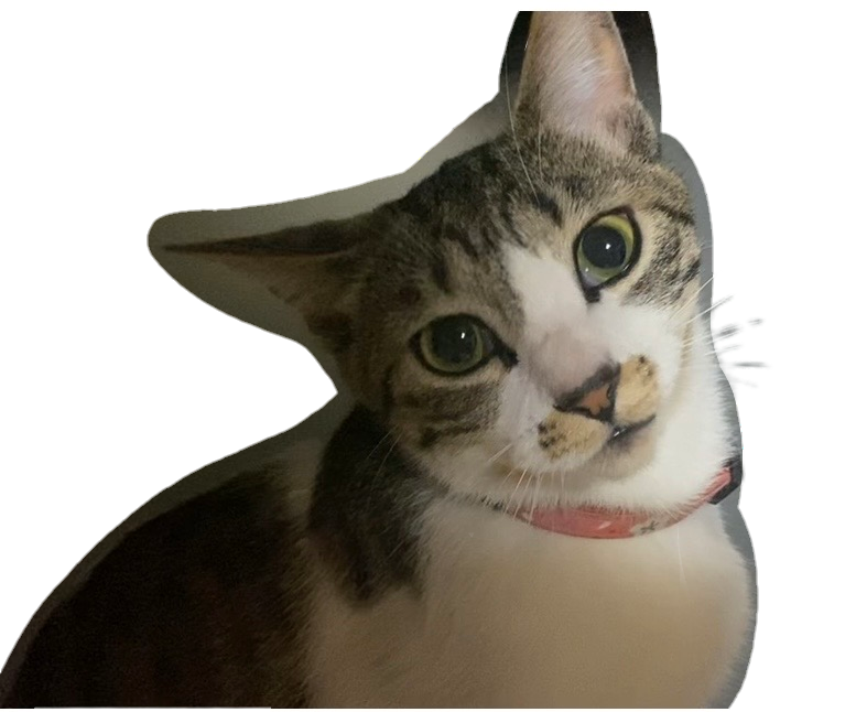 M.i