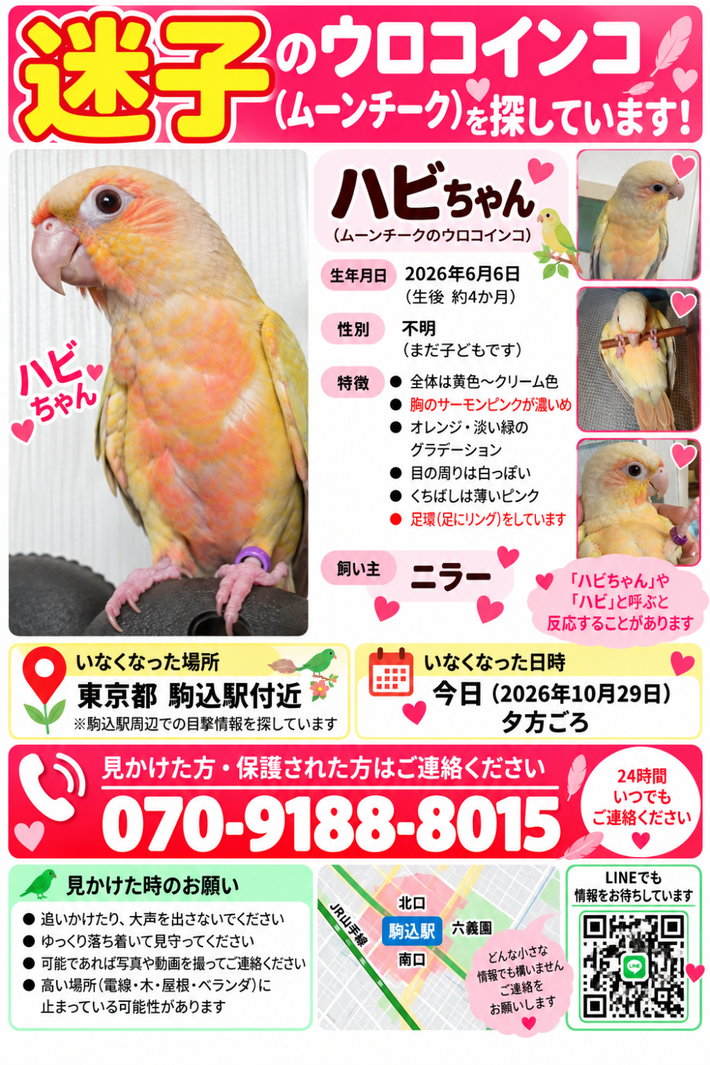 ハビ