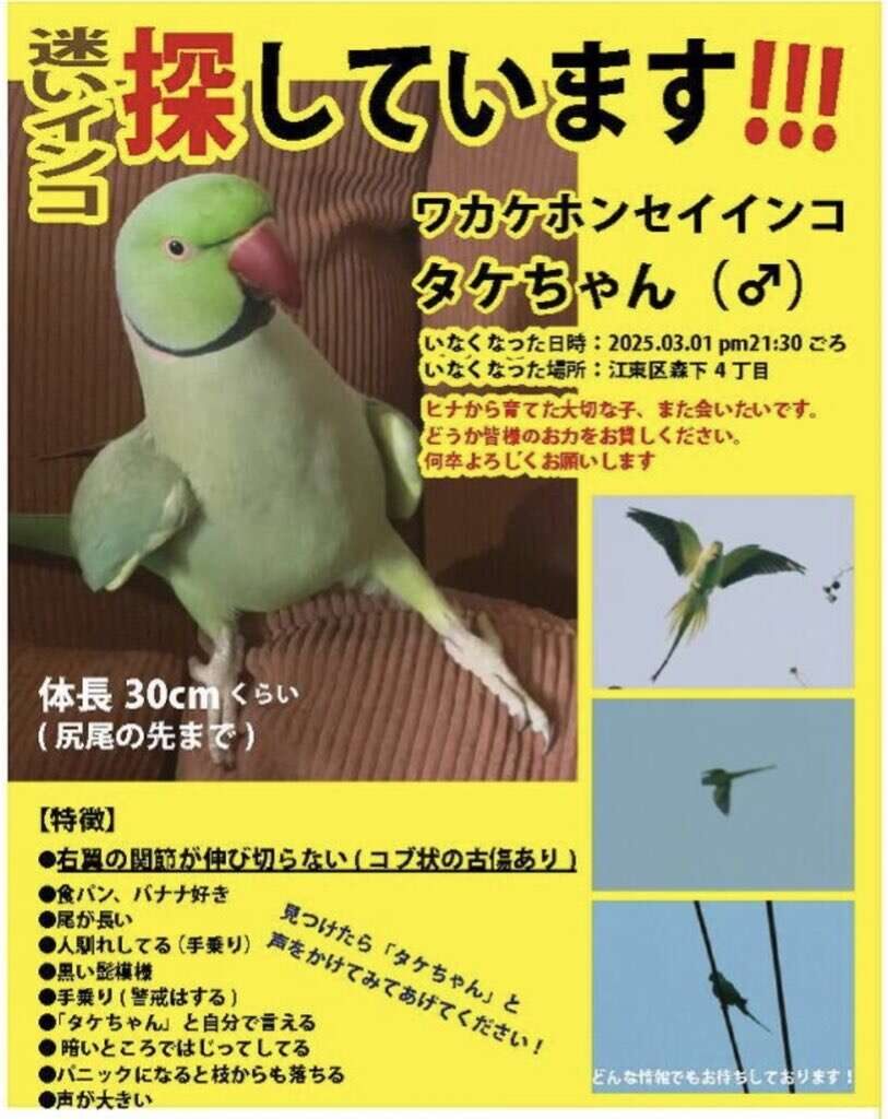 メイ