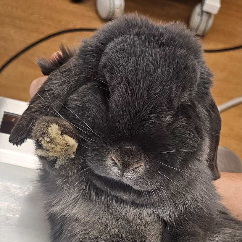 るか