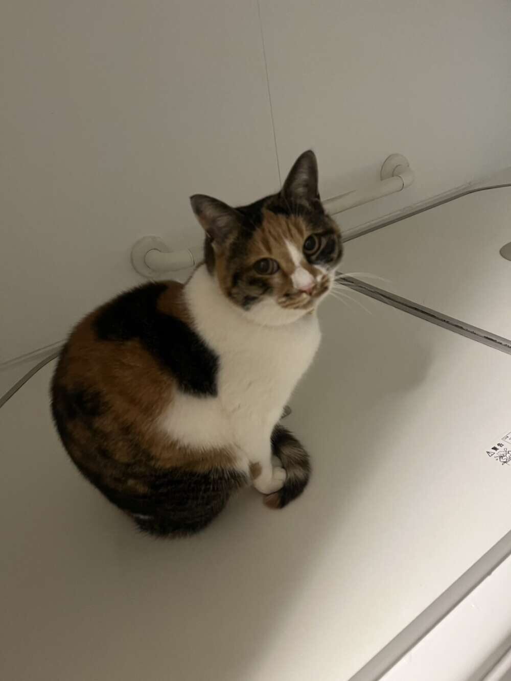 こばやし