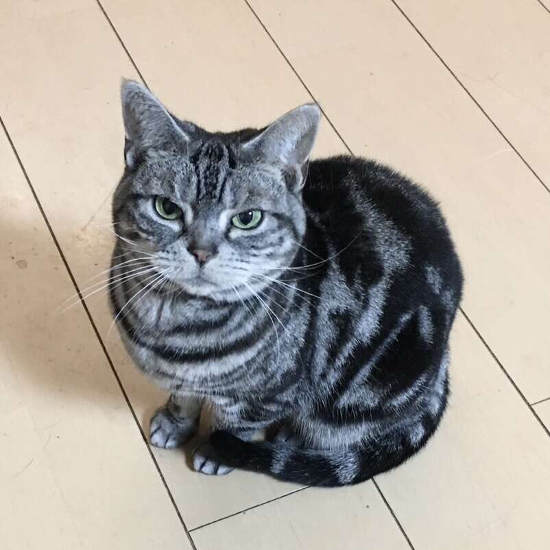 松永マル