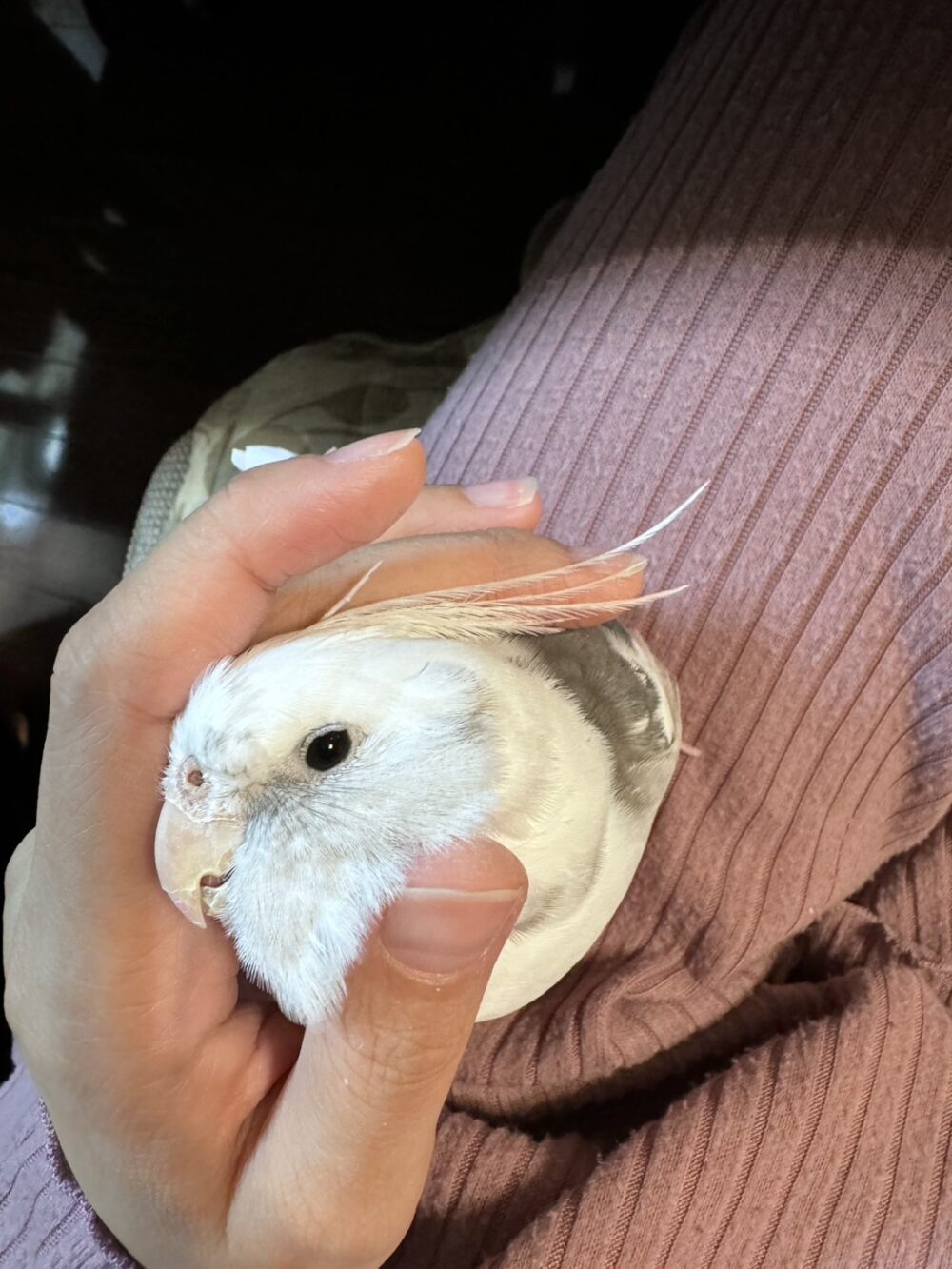 はな