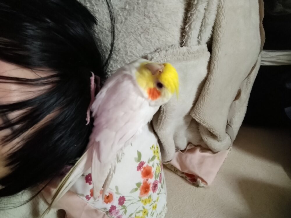 ゆか