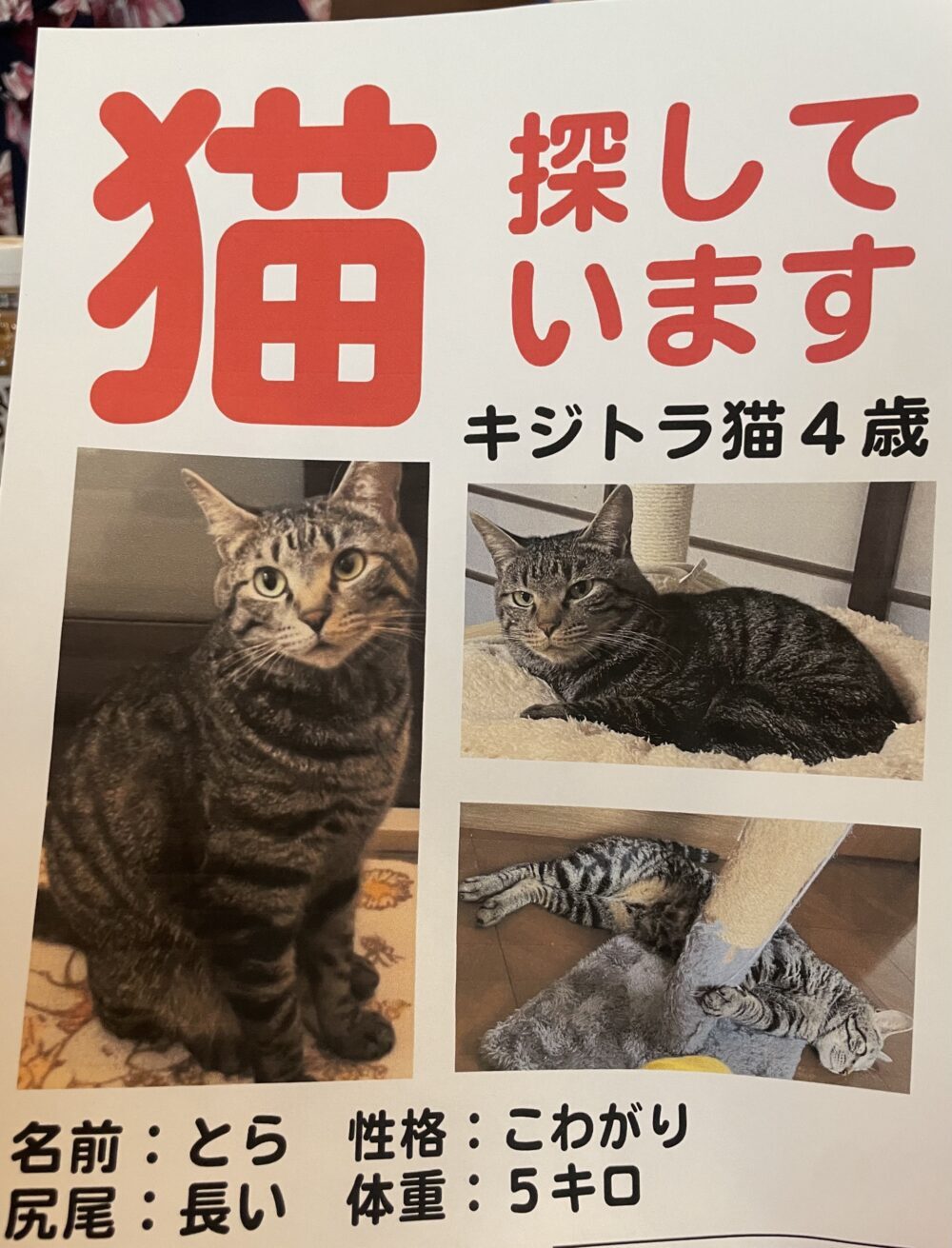 こずりん