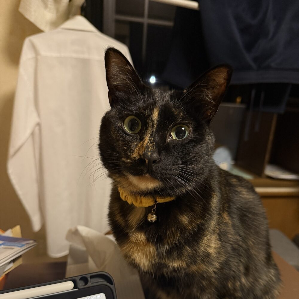 あゆみ
