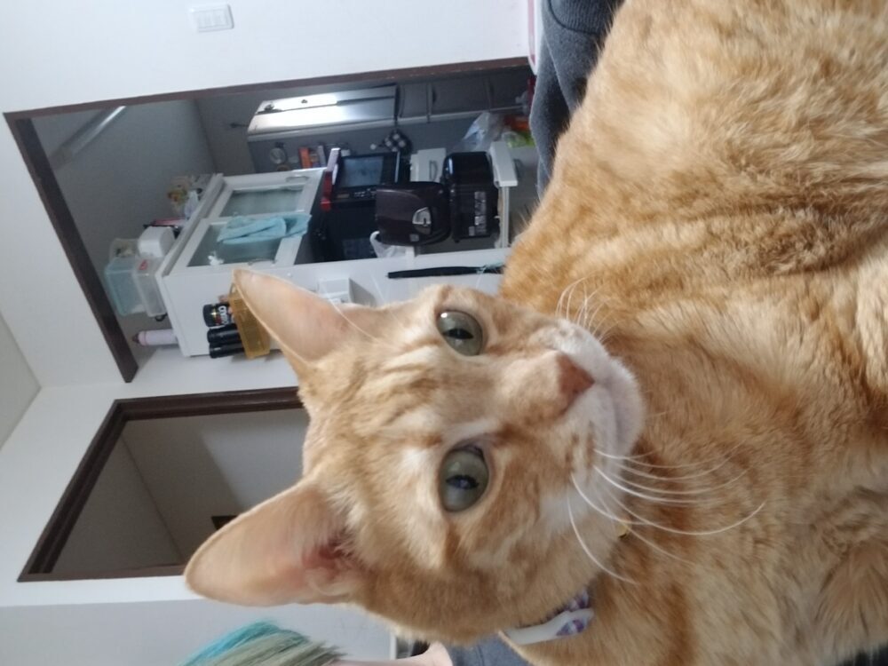 あお