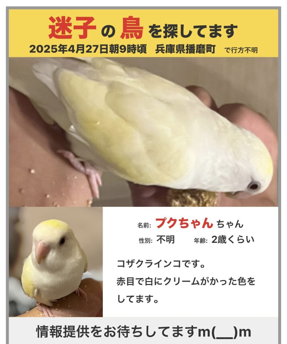 ししょー